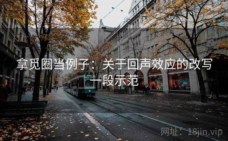 拿觅圈当例子：关于回声效应的改写一段示范